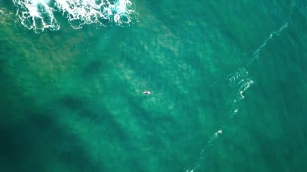 Aerial Top View Sup Surfer Paddling Middle Wavy Sea — Vídeo de stock