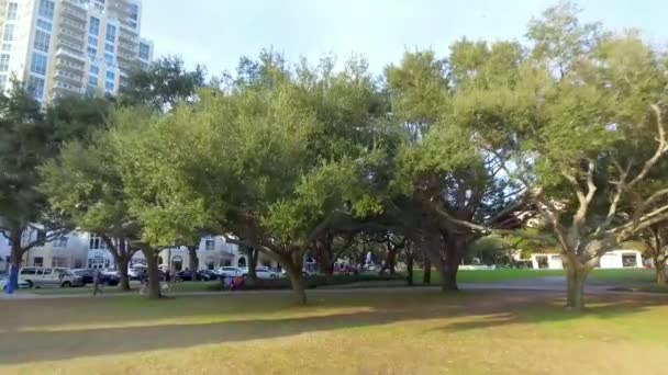 Drone Video Oak Trees Petersburg City Park — Wideo stockowe