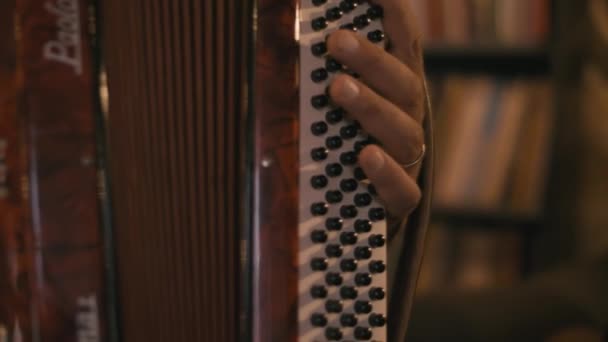 Unrecognizable Musician Playing Music Accordion — Wideo stockowe