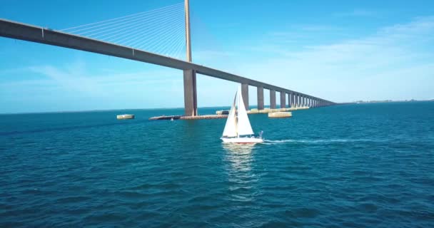 Aerial Slo Video Sailboat Tampa Bay Florida — Wideo stockowe