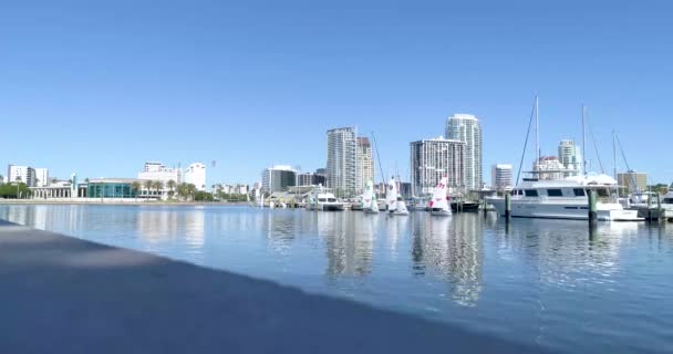Video Small Racing Sailboats Petersburg Florida Marina — Wideo stockowe
