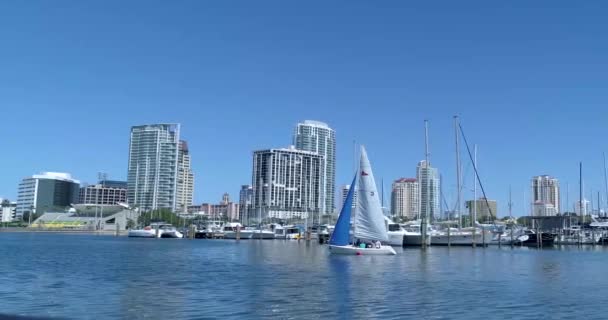 Video Sailboat Sailing Yachts Florida Marina — Vídeo de stock
