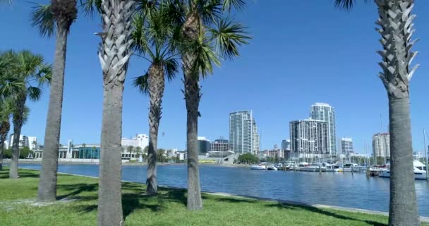 Video Skyline Marina Palm Trees Petersburg Florida — Wideo stockowe