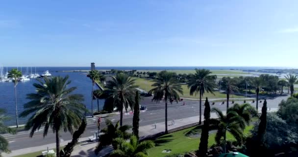 Aerial Video Albert Whitted Park Airport Petersburg Florida — Stock Video