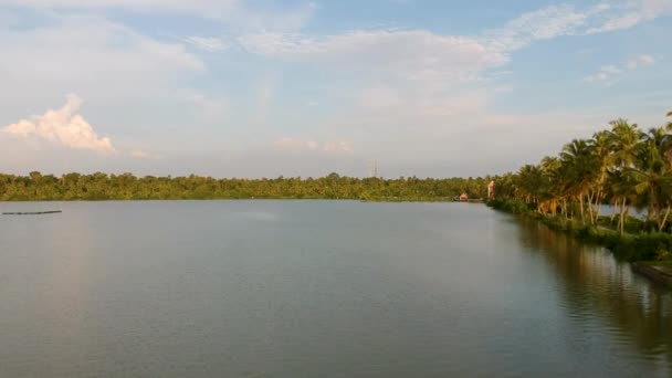 Vembanad Lake Fish Farm Aerial Shot Coconut Tree Lines — Stockvideo