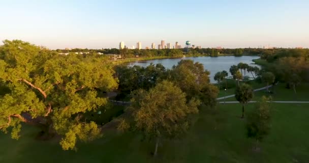 Aerial Video Landing Trees Lake Downtown Petersburg Distance — Vídeos de Stock