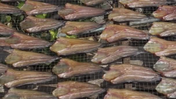 Close Pan Right Fish Fillets Drying Rack Bangkok Thailand — 图库视频影像