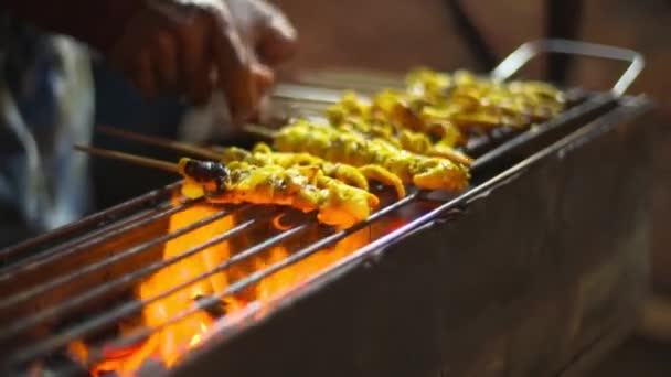 Man Grilling Fresh Squid Skewer Reversing Burning Fire Close Shot — Video Stock