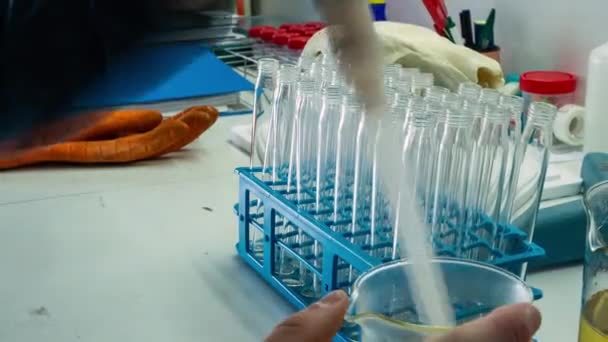 Time Lapse Laboratory Technician Filling Vials Yellow Solution — стоковое видео