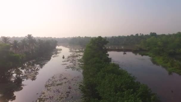 Asian Mangroves Local Farmer Collecting Grass Boat Beautiful Aerial Shoot — Stock Video