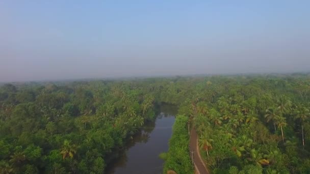 Aerial Shot Backwater River Village Road Coconut Forest Blue Sky — стоковое видео