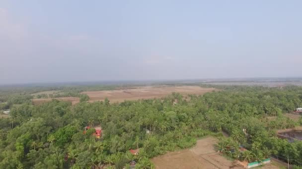 Burning Farm Fields Aerial Shot Main Field Preparation Paddy Cultivation — Stockvideo