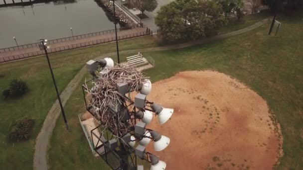 Empty Bird Nest Top Light Tower Overlooking Baseball Field Boston — ストック動画