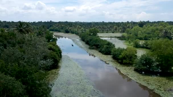 Beautiful Aerial Shot Backwater River Asia Small Boat Cruise Thick — Vídeo de Stock