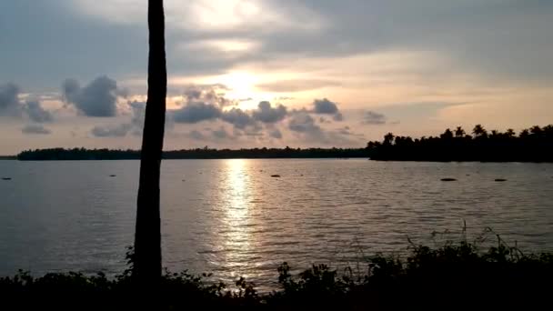 Silhouette Sunset Vembanad Lake Sunset Vembanad Lake Backwaters Sunset — Stock video
