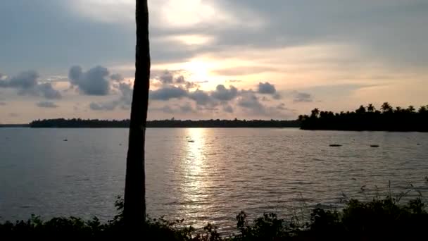 Backwaters Sunset Silhouette Sunset Vembanad Lake Sunset Vembanad Lake — Stock video