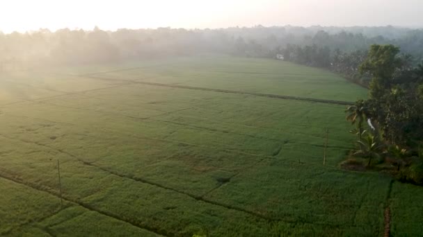Asian Paddy Field Village Sky Sun Beam Reflection River Aerial — Stockvideo