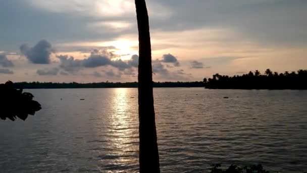 Beautiful Aerial Shot Backwater Vembanadu Lake Sunset Coconut Trees Water — Stock Video