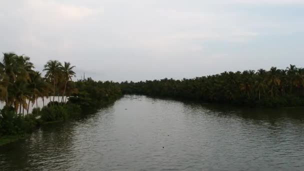 Beautiful Aerial Shot Backwater Canal Sunset Coconut Trees Water Transportation — 비디오