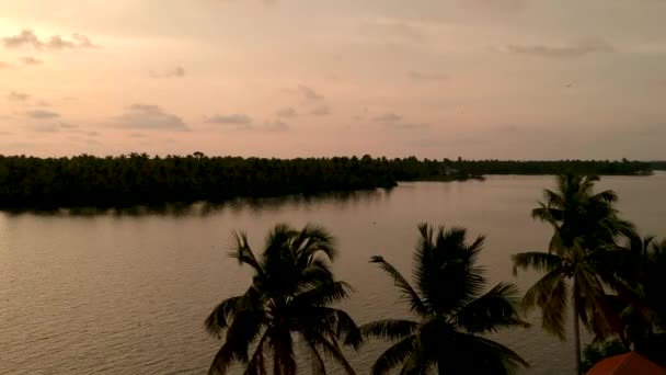 Beautiful Aerial Shot Backwater Vembanadu Lake Water Lines Twilight Sunset — Stock Video