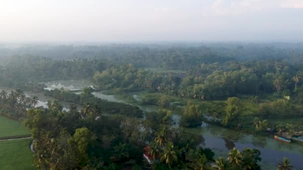 Sunrise Asian Paddy Field Village Sun Beam Reflection River Aerial — Vídeo de Stock