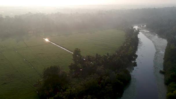 Sunrise Asian Paddy Field Village Sun Beam Reflection River Aerial — Stockvideo