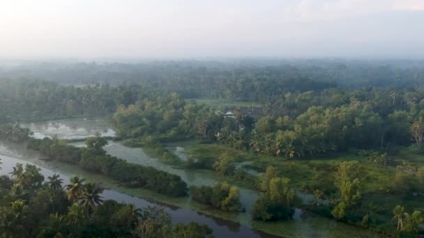 River Asia Backwater Village Mangroves Sunrise Mist Irrigation Boat Transportation — Vídeos de Stock