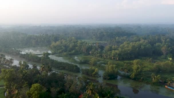 River Asia Backwater Village Mangroves Sunrise Mist Irrigation Boat Transportation — стоковое видео