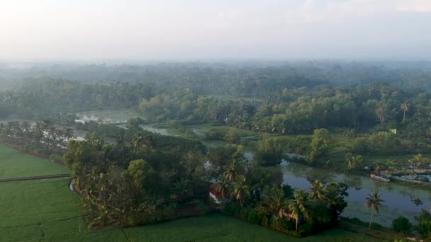 Sunrise Asian Paddy Field Village Sun Beam Reflection River Aerial — ストック動画