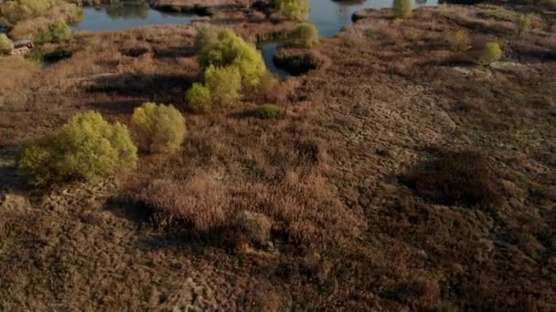 Delta Reservation Biosfär Antenn Skjuta — Stockvideo