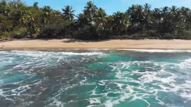 Aerial Secluded Beach Puerto Rico — Stock video