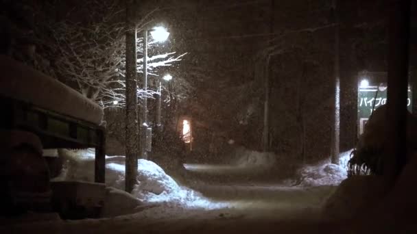 Snowy Street Night Illuminated Street Lights Rural Japanese Town Hakuba — Αρχείο Βίντεο
