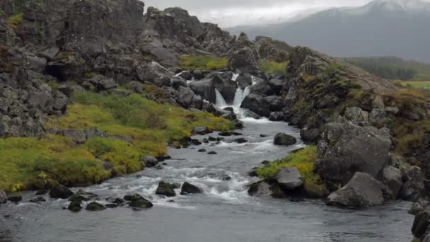 Flowing Stream Thingvellir National Park Iceland — Stockvideo