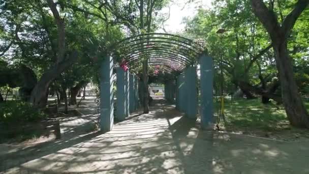 Beautiful Tunnel Dolly Lens Flare Natural Park Giron Santander — Stockvideo