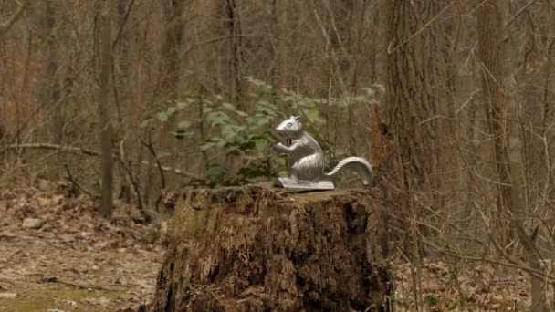 Metal Squirrel Nutcracker Stump Forest Wide Shot — Stock video