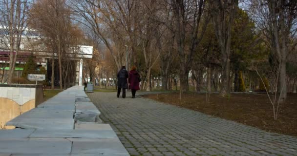 Spring Tashkent People Walking Museum Amir Timur Tamerlane Uzbekistan Garden — Stockvideo