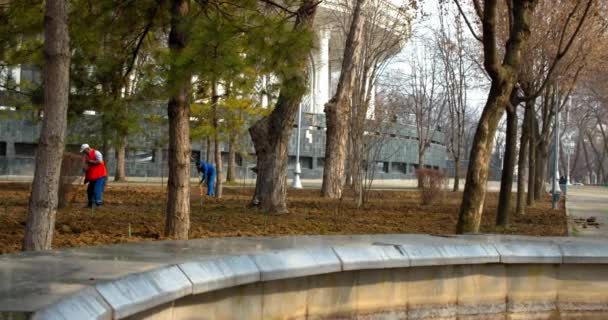 Spring Work Amir Temur Museum Tashkent Uzbekistan Dripping Ground Beautification — Αρχείο Βίντεο