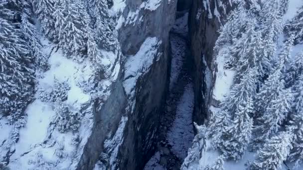 Aerial View Frozen River Gorge Winter Alps Grindelwald Switzerland — Vídeos de Stock