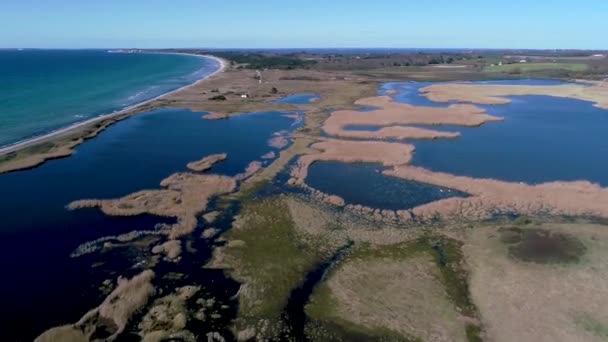 Drone Video Danish Protected Coast Wetlands — Vídeo de stock