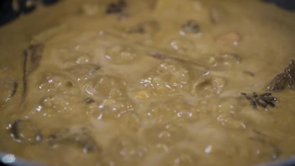 Bubbles Μαγειρεύοντας Ένα Ταϊλανδέζικο Massaman Curry Paste Γάντια Καρύδας Γάλα — Αρχείο Βίντεο