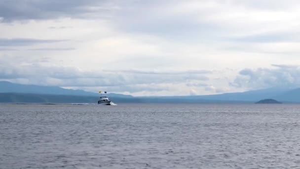Beautiful Landscape Shot Large Boat Cruising Lake Taupo New Zealand — Wideo stockowe