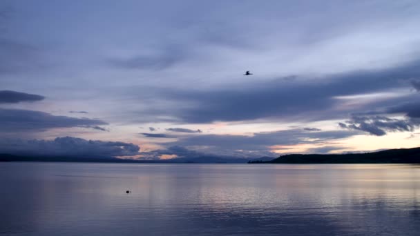 Beautiful Landscape Shot Lake Taupo Sunset New Zealand — ストック動画