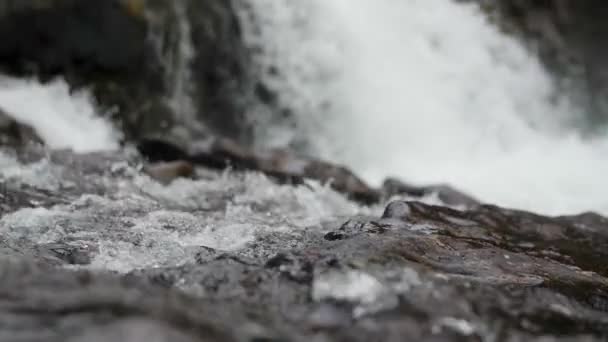 Slow Motion Tilting Shot Reveals Lucia Falls Vancouver Washington — Αρχείο Βίντεο