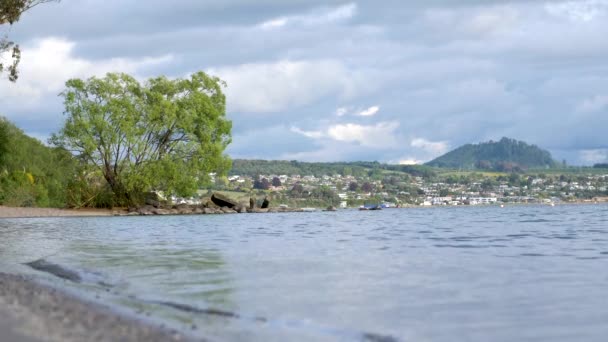 Landscape Shot Lake Taupo Shoreline Waves Rolling — Stock Video