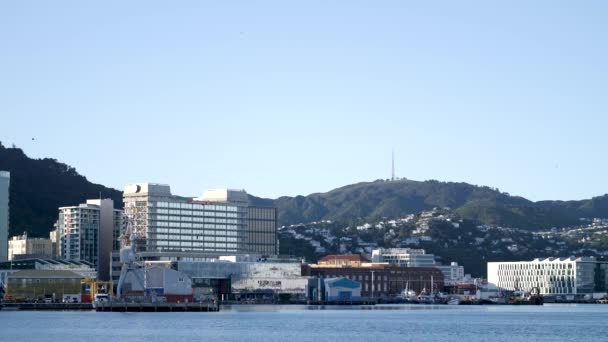 Landscape Wellington Harbour New Zealand — Stock video