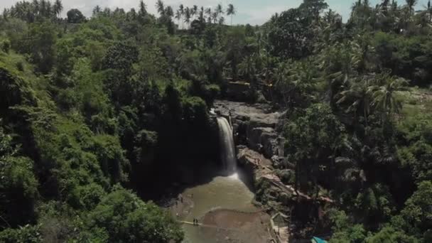 Aerial View Powerful Waterfall Island Bali Indonesia Surrounded Green Vegetation — 비디오