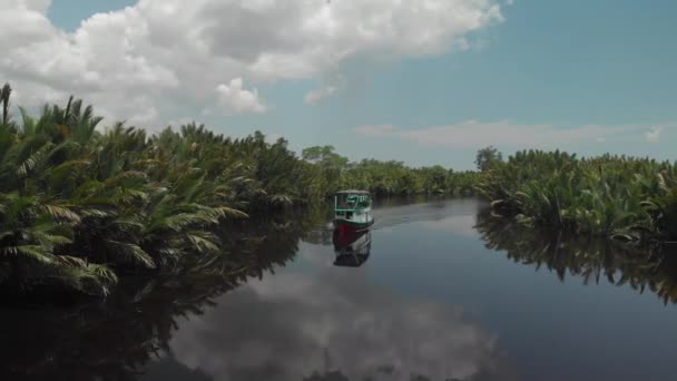 Calm River Middle Jungle South Borneo Indonesia Boat Sailing Sunny — Vídeo de stock