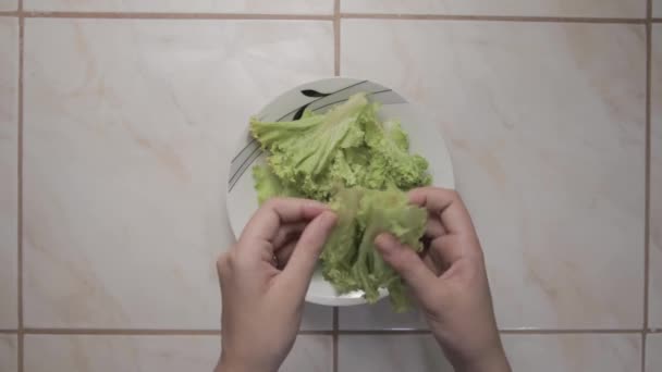 Close Female Hands Separating Chinese Cabbage Leaves Putting Plate — ストック動画