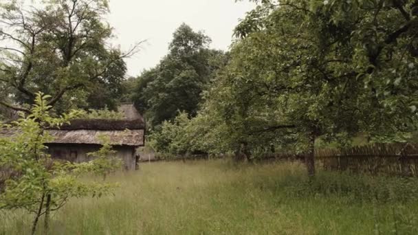Old Buildings Historical Village Amongst Woodland Trees Long Spring Grass — Stockvideo
