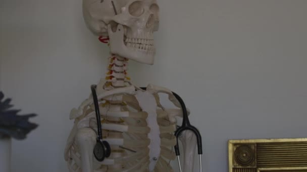 Shot Medical Skeleton Moving Skeleton — Vídeos de Stock